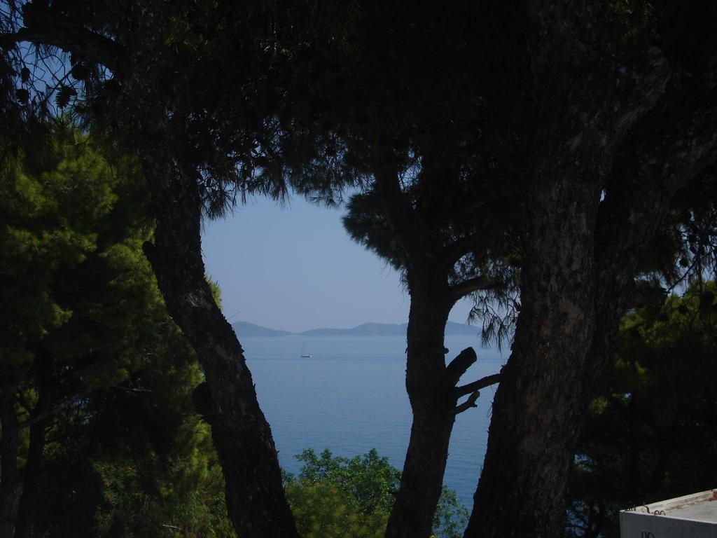 Maria Patitiri (Alonnisos)