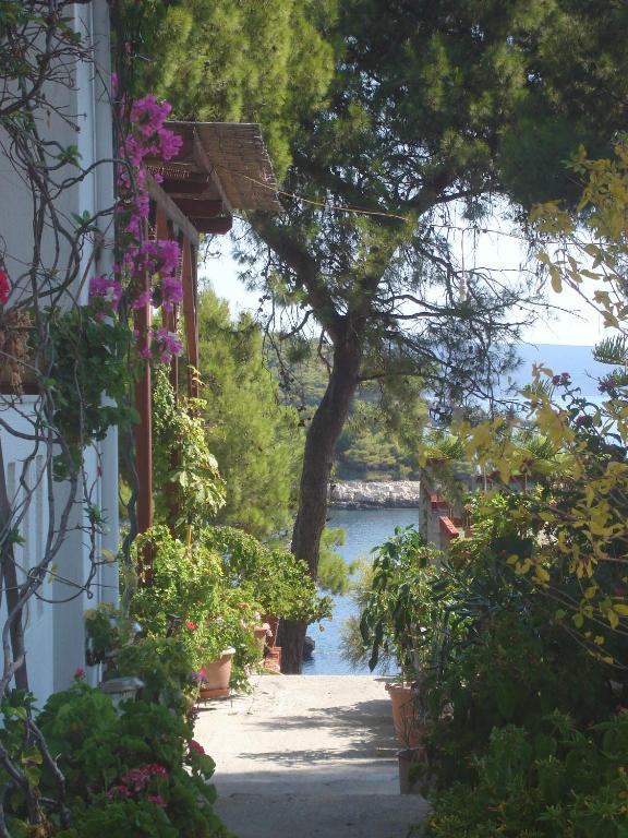 Apartment Maria Patitiri (Alonnisos)